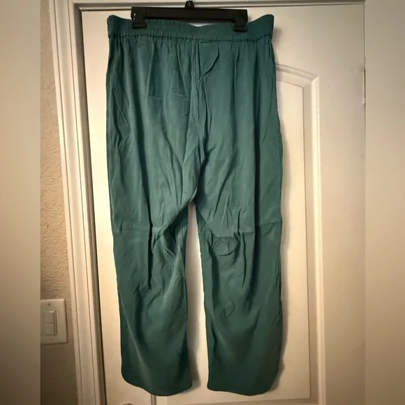Universal Standard Cooling Stretch Cupro Pants - Teal - New With Tags! - Picture 3 of 7